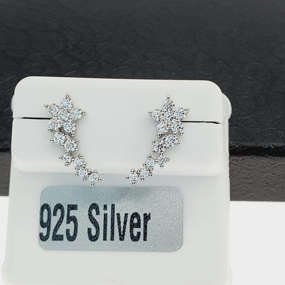 925 sterling silver luxury CZ earrings for women/girls, Best for RJUS2231 - Picture 3 of 10